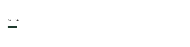 Nou Grup logo